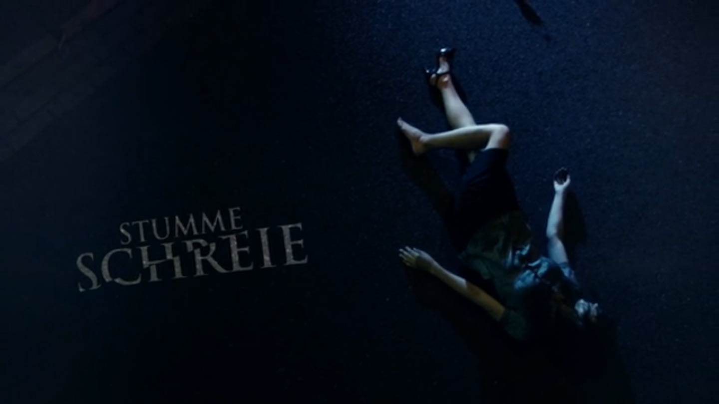 Videostore (0)