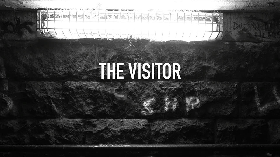 The Visitor (2016)