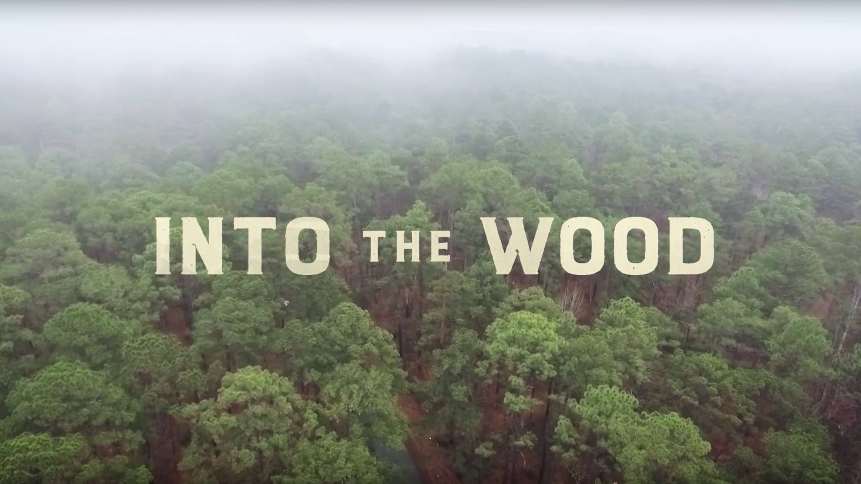 Into the Wood (2017)